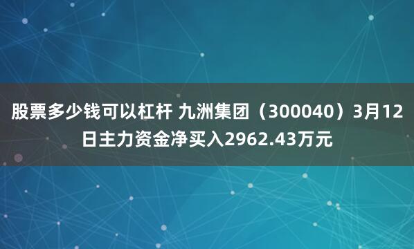 股票多少钱可以杠杆 九洲集团（300040）3月12日主力资金净买入2962.43万元