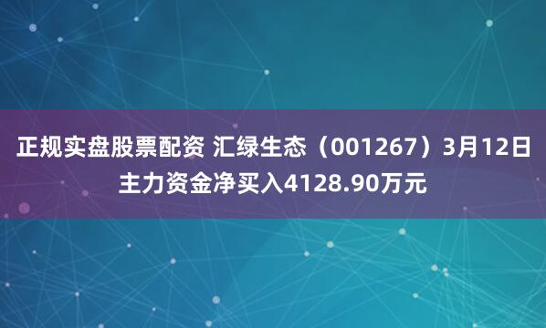 正规实盘股票配资 汇绿生态（001267）3月12日主力资金净买入4128.90万元