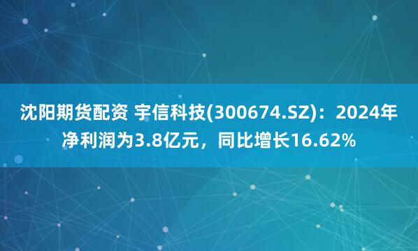 沈阳期货配资 宇信科技(300674.SZ)：2024年净利润为3.8亿元，同比增长16.62%