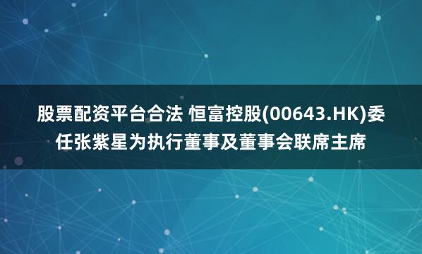 股票配资平台合法 恒富控股(00643.HK)委任张紫星为执行董事及董事会联席主席