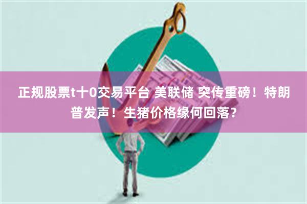 正规股票t十0交易平台 美联储 突传重磅！特朗普发声！生猪价格缘何回落？