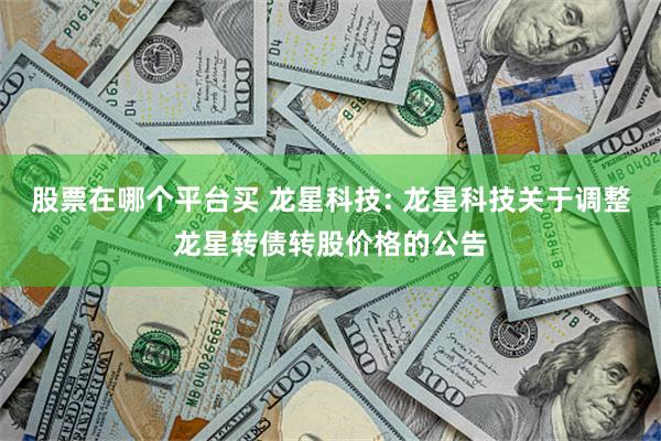 股票在哪个平台买 龙星科技: 龙星科技关于调整龙星转债转股价格的公告