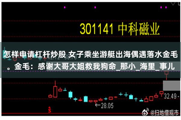 怎样申请杠杆炒股 女子乘坐游艇出海偶遇落水金毛。金毛：感谢大哥大姐救我狗命_那小_海里_事儿
