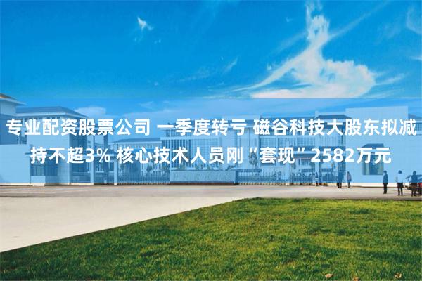 专业配资股票公司 一季度转亏 磁谷科技大股东拟减持不超3% 核心技术人员刚“套现”2582万元