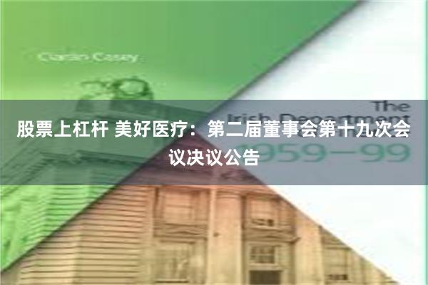 股票上杠杆 美好医疗：第二届董事会第十九次会议决议公告